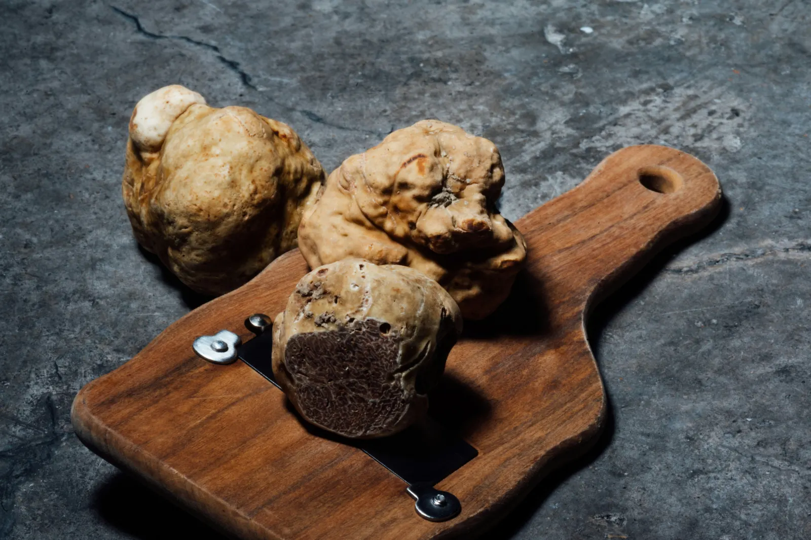 Tartufo bianco