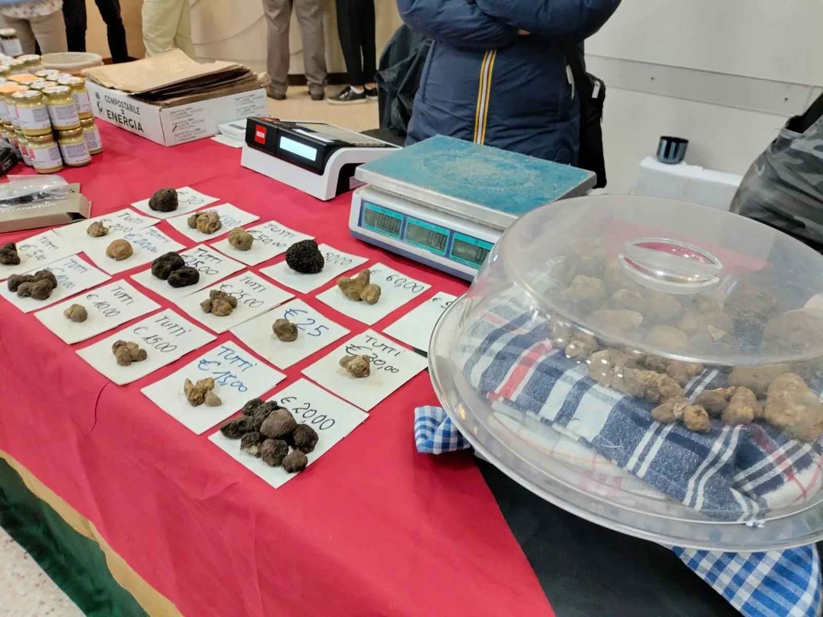 Festa del Tartufo 2025 60 Esposizione e vendita dei tartufi