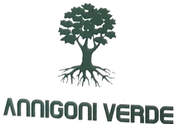 annigoni verde